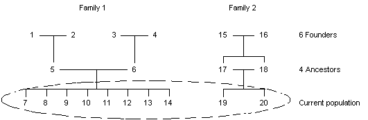 pedigree example showing the difference between founders and ancestors